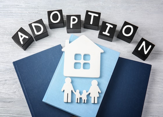 Adoption Home Studies